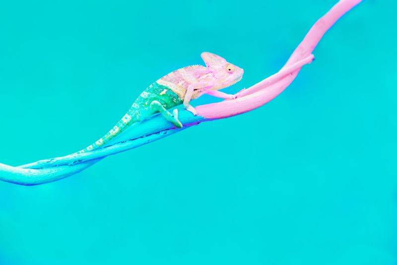 ILTA Fall 2025 Issue Highlights AI, Leadership, and Change in Legal Technology